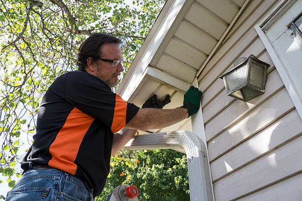 Demolition Debris Removal in Appleton City, MO